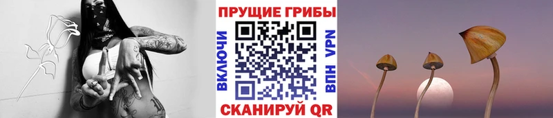 Псилоцибиновые грибы MAGIC MUSHROOMS  MEGA онион  Сыктывкар 